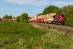 CP 8042